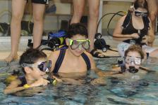 schnuppertauchen 2012_01_06_51